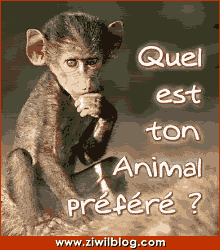 alors???