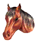 cheval