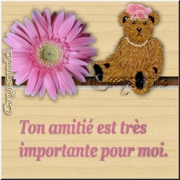 l'amour ou l'amiti&eacute;?