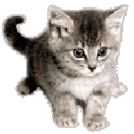minou