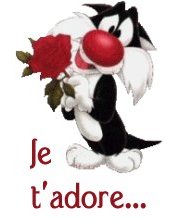 je vous adore