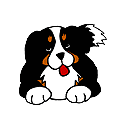 chien