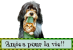 amies pr la vie