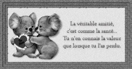 l'amiti&eacute;